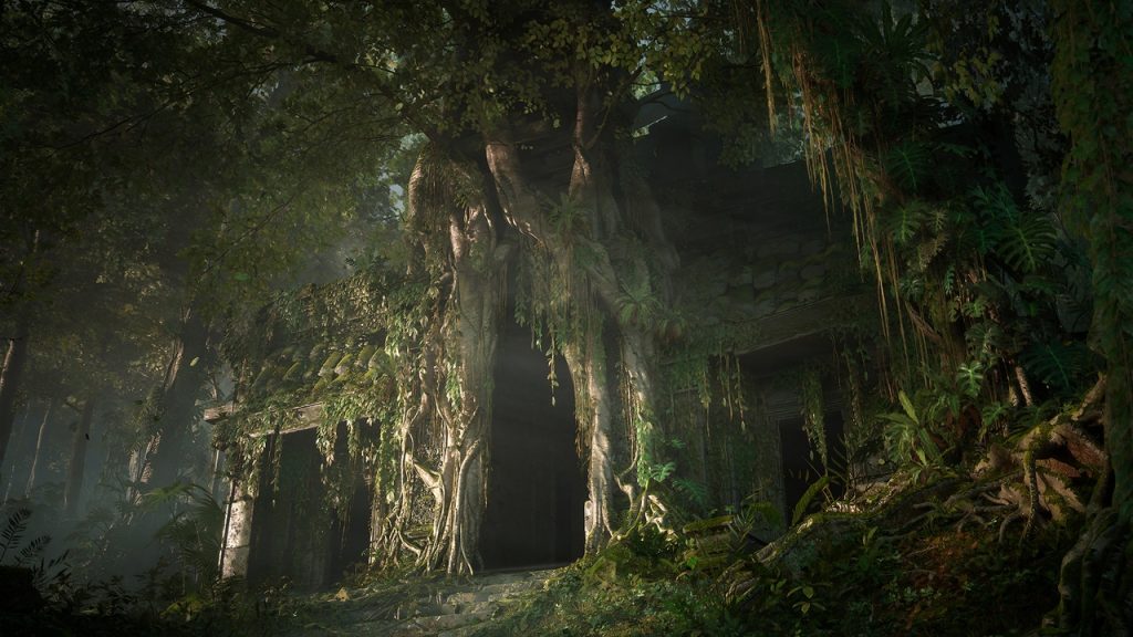 森林深处 – Deep in the Forest