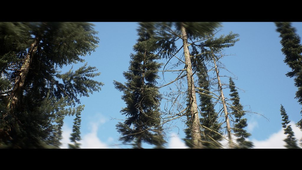 图片[3]-aicgt资源网Colorado Nature Landscape