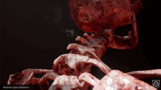 真实基础骨骼模型 – Realistic Base Skeleton虚幻引擎UE资源网-海量优质免费素材网|是一个提供海量CG素材的网站，包含虚幻资源、CG模型、CG教程等AICGT资源网
