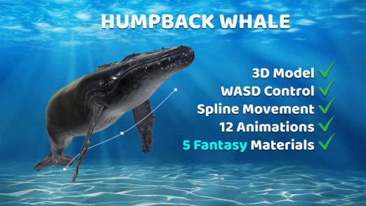 动画座头鲸 – Animated Humpback Whale虚幻引擎UE资源网-海量优质免费素材网|是一个提供海量CG素材的网站，包含虚幻资源、CG模型、CG教程等AICGT资源网