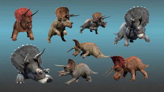 三角龙3D模型 – Dinosaur – Triceratops虚幻引擎UE资源网-海量优质免费素材网|是一个提供海量CG素材的网站，包含虚幻资源、CG模型、CG教程等AICGT资源网