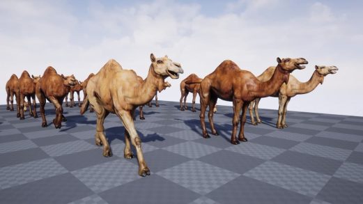 非洲动物 – 单峰骆驼 3D模型 – African Animal – Camel (Dromedary)虚幻引擎UE资源网-海量优质免费素材网|是一个提供海量CG素材的网站，包含虚幻资源、CG模型、CG教程等AICGT资源网