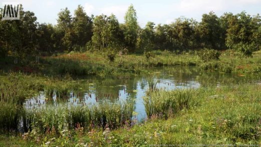 MW草地森林树木生态群系 – MW Meadow Forest Trees Biome虚幻引擎UE资源网-海量优质免费素材网|是一个提供海量CG素材的网站，包含虚幻资源、CG模型、CG教程等AICGT资源网
