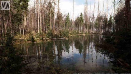 MW枯云杉森林生态群落 – MW Dead Spruce Forest Trees Biome虚幻引擎UE资源网-海量优质免费素材网|是一个提供海量CG素材的网站，包含虚幻资源、CG模型、CG教程等AICGT资源网