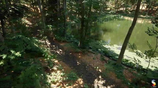 山毛榉森林生态系统 – Beech Forest Ecosystem虚幻引擎UE资源网-海量优质免费素材网|是一个提供海量CG素材的网站，包含虚幻资源、CG模型、CG教程等AICGT资源网