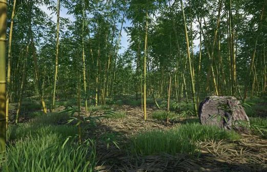 竹类植物包 – Bamboo Plants Pack虚幻引擎UE资源网-海量优质免费素材网|是一个提供海量CG素材的网站，包含虚幻资源、CG模型、CG教程等AICGT资源网